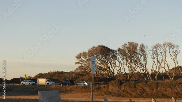 Fototapeta beach trip