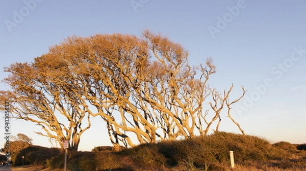 Fototapeta beach trip
