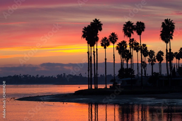 Fototapeta Iconic silhouette of palm trees over Mission Bay San Diego