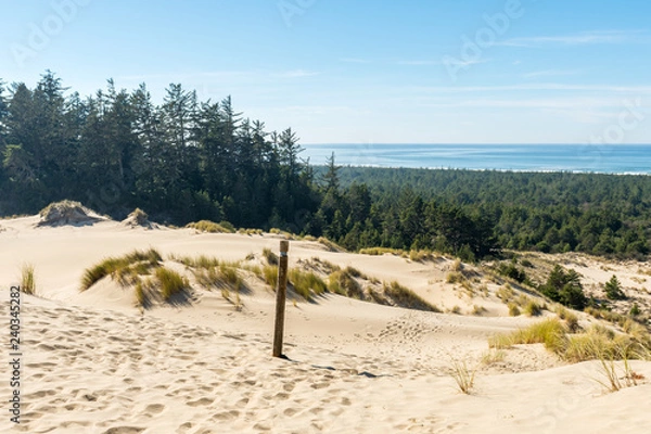 Fototapeta The sand and coastline from a high point of view over the Oregon dunes