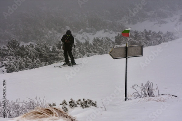 Obraz skiing in the mountains