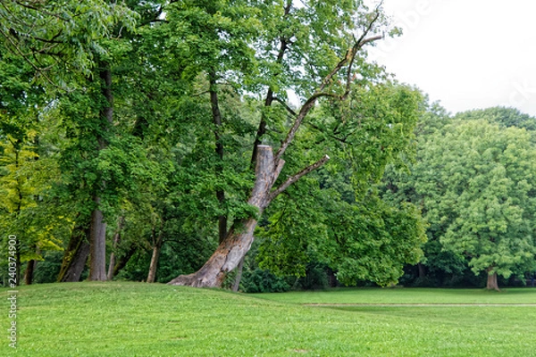 Obraz München, Englischer Garten