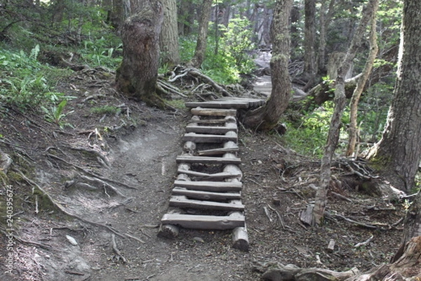 Obraz Rustic  wooden  staircase