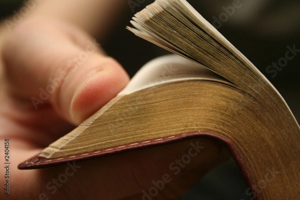Obraz young man reading small bible