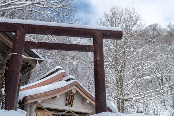 Fototapeta 戸隠神社奥社の風景
