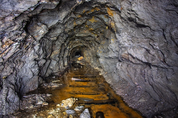Obraz Old gold mine