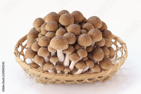 Obraz ぶなしめじ_竹カゴ