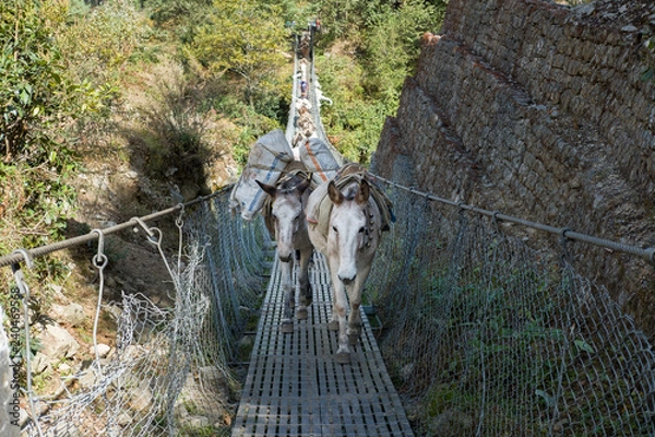 Obraz donkey caravan crossing bridge