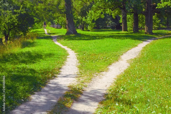 Obraz Two paths diverging to the sides and a lone cyclist on one of them drives away