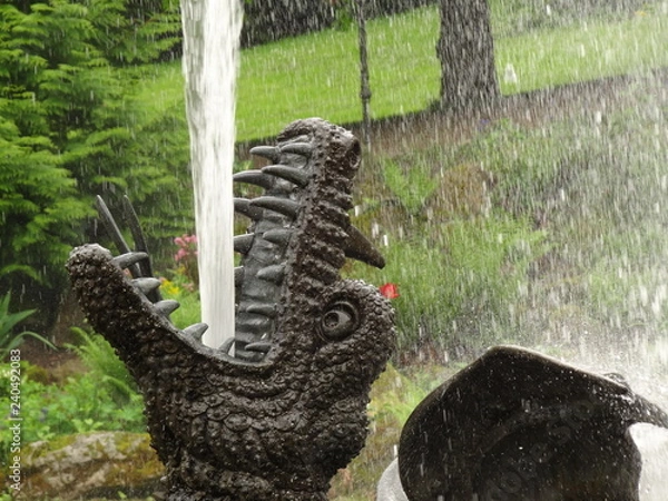 Obraz Wasserspeihender Drache