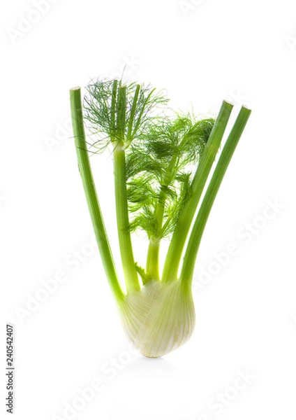 Fototapeta Florence fennel bulbs. Isolated on a white background.