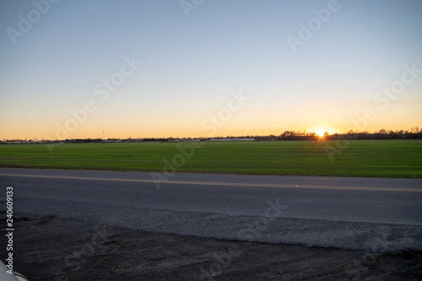 Fototapeta Evening sun setting behind sugar cane fields in New Roads, Louisiana. 