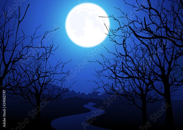 Fototapeta Nocna droga