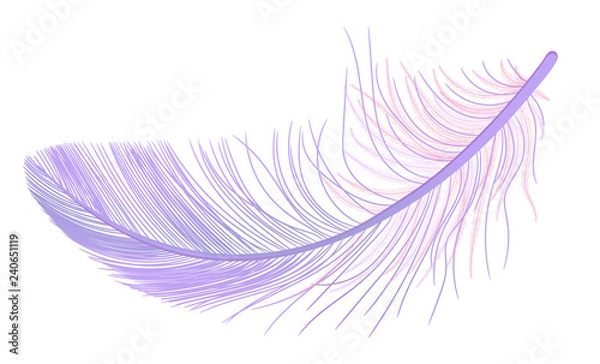 Obraz Feather, fluff, fuzz vector, realistic 3d. Colored, violet, purple. Pooh, lightness, airiness.