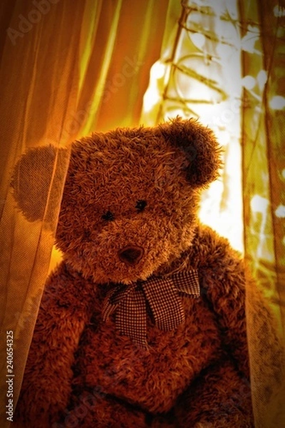 Fototapeta Teddy bear