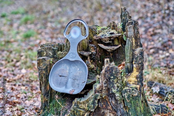 Obraz Forgotten Sledge