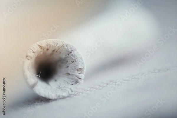 Fototapeta Ivory wooden stick macro view