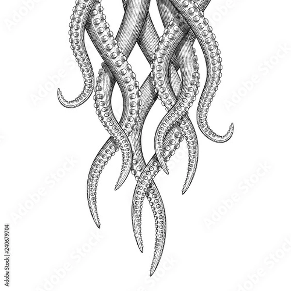 Obraz Ilustracja wiszących macek