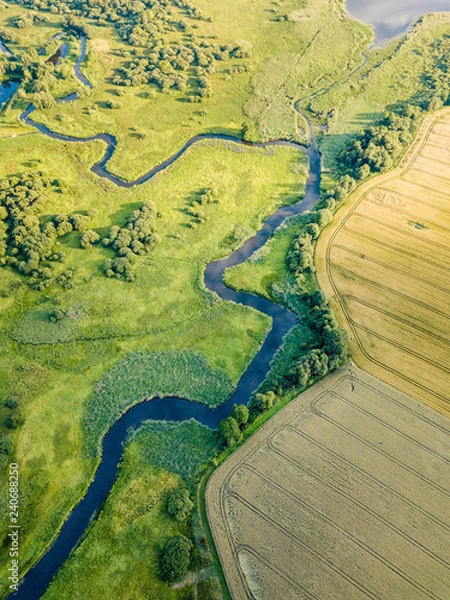 Fototapeta Aerial Photo the River Flowing Between Yellow and Green Agriculture Fields in Early Spring on Sunny Day