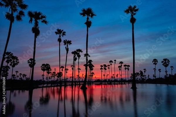 Obraz cityscape landscape