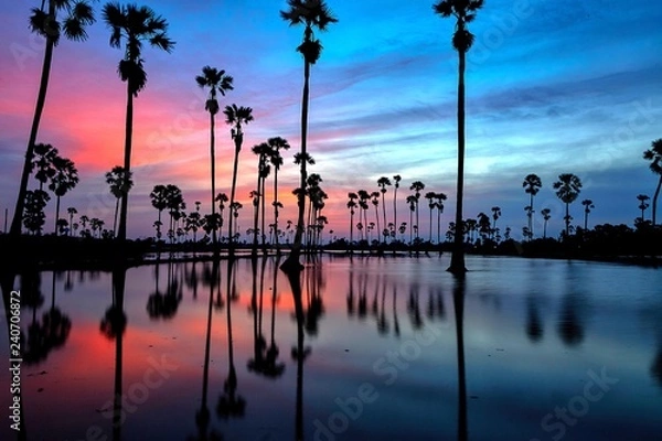 Obraz cityscape landscape