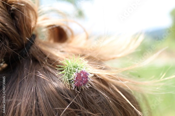 Obraz Fleur aux cheveux