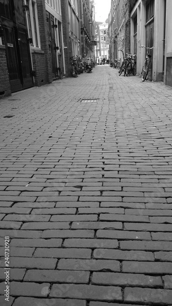 Obraz Les pavés d'Amsterdam