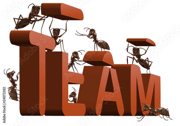 Obraz ant teamwork team building cooperation
