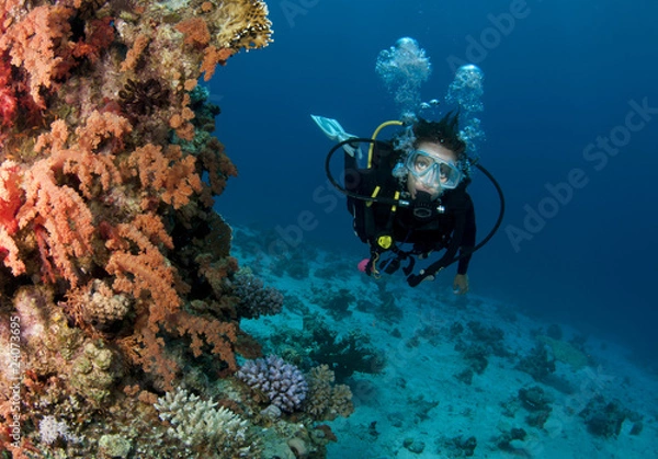 Fototapeta scuba diver