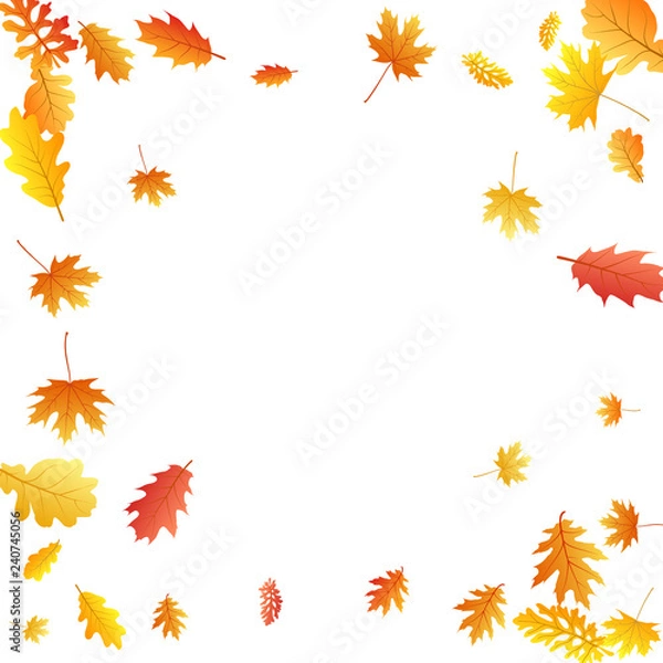 Obraz Oak, maple, wild ash rowan leaves vector, autumn foliage on white background.