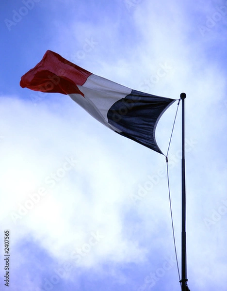 Fototapeta tricolore