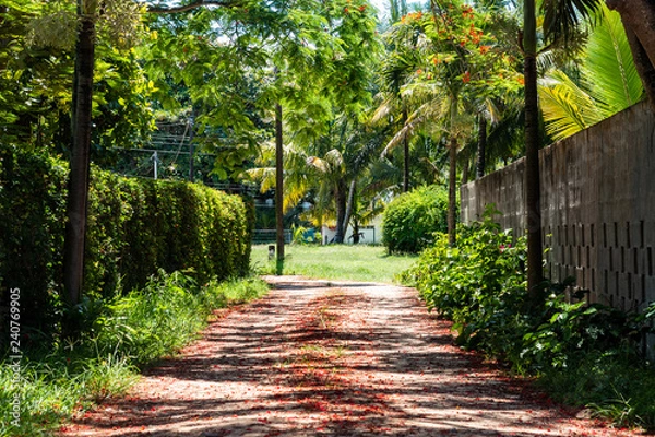 Obraz path in the forest