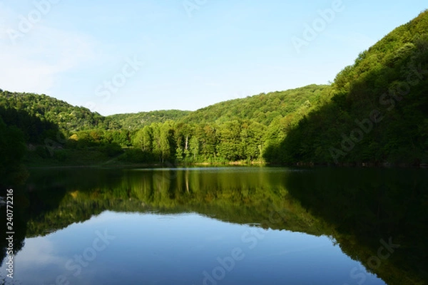 Obraz Forest reflection, calm lake view