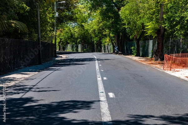 Obraz road in forest