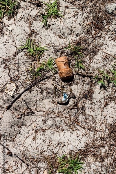 Obraz cork on the ground