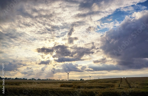 Fototapeta Wind generator turbines on a cornfield. In the background you can see clouds and sunbeams. Renewable energy concept.
