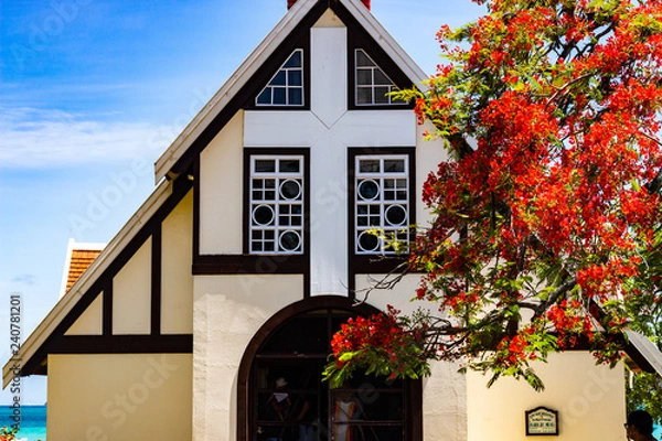 Obraz house with flowers