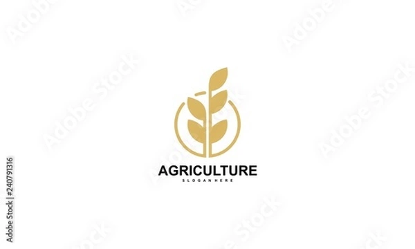Obraz Rice Logo Design Vector - Vector,Agriculture wheat Logo Template vector icon design - Vector