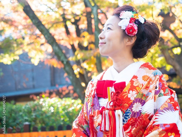 Fototapeta 振袖　色打掛