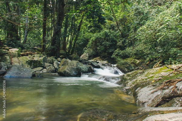 Obraz Waterfall in rainforest