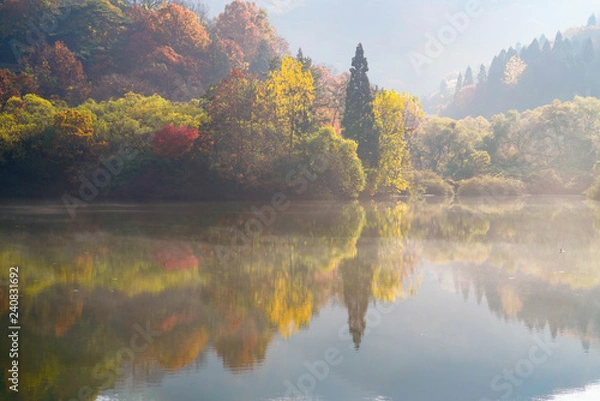 Obraz 빛내림이 아름다운 세량지의 아침 풍경