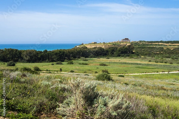 Obraz Amazing landscape of Selinunte Archaeological park with Mediterranean sea on the background and the Acropolis on the right, Castelvetrano, Trapani Province, Sicily, Italy
