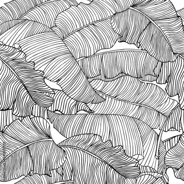 Fototapeta Seamless pattern of exotic, white banana leaves with a black outlines isolated on a transparent background. Decorative image with tropical foliage.