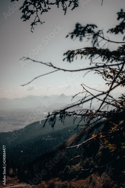 Fototapeta Alpenblick