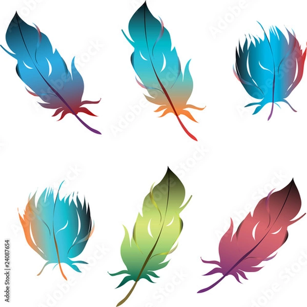 Fototapeta isolated feathers set object on white background