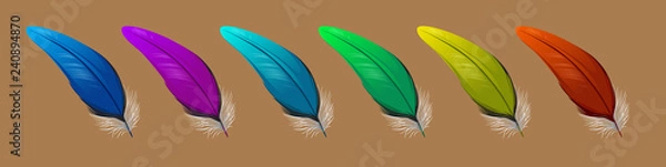 Fototapeta vector set of down, feather, Swan's down, goose feathers, chicken feathers, parrot feathers, plumelet
