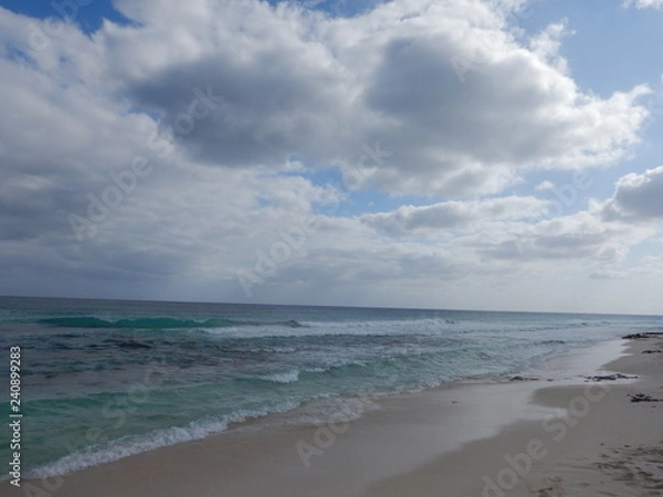 Fototapeta playeando