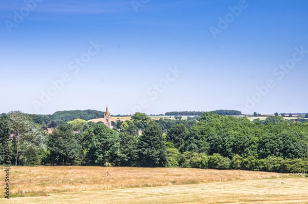 Obraz landscape blue sky and trees