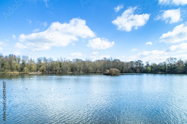 Obraz lake in deep forest