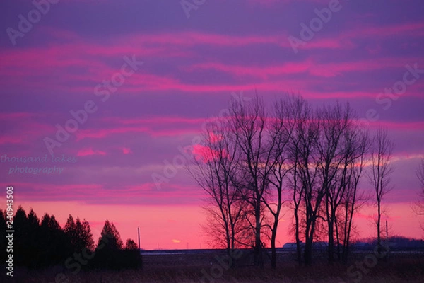 Fototapeta pink sunset